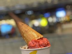 -LUNEURS月乐诗·法式冰淇淋(环贸店)