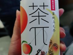 -长春西站