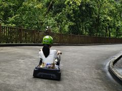 -圣淘沙天际线斜坡滑车