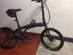 -道路口单车爱瓦士dahon大行