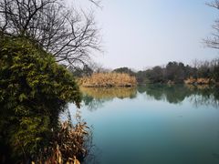 -西溪国家湿地公园