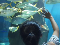 -北戴河圣蓝海洋公园