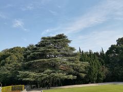 -上海市龙华烈士陵园