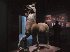 -广西壮族自治区博物馆