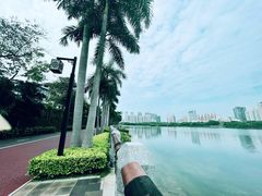 -南宁南湖公园