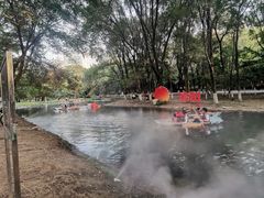 -长白岛森林公园