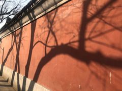 -国家图书馆·古籍馆