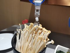 -海底捞火锅(河东万达广场店)