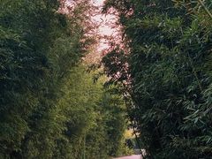 -郑州植物园