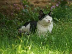 -厦门良筑精品酒店(厦门中山路店)