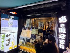 -猫的魔法密林(衣裳街店)