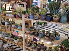 -凯德广场(学府店)