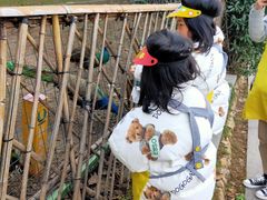 -杭州开元森泊度假乐园