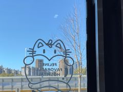 -艾贝尔宠物医院·24H转诊中心·肿瘤猫专科(江宁双龙店)