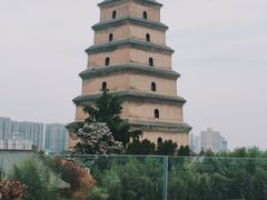 -大雁塔北广场音乐喷泉