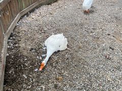 -上膳源有机农场