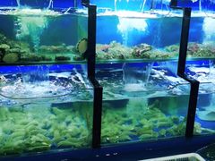 水产区-老东镇啤酒屋海鲜加工·蒸汽海鲜·海鲜烧烤(台东店)