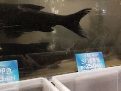 -上名堂·鱼头好吃(体育场路店)