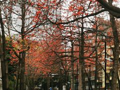 -烈士陵园(地铁站)