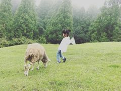 -神户市立六甲山牧场