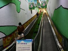 -世纪联华超市(凤起店)