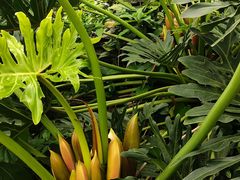 -荔湾湖公园