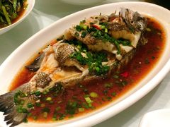 葱油石斑鱼-洲晓鲜·舟山海鲜大排档(朱家尖风景区店)