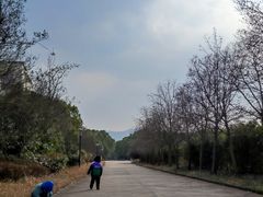 -金孔雀温泉旅游度假村