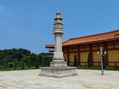 -三水森林公园