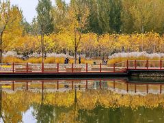 -东郊湿地公园