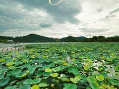 -顺峰山公园