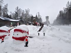 -峡谷浮石林景区