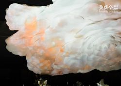 -美薇亭婚礼顾问