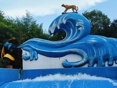 -上海玛雅海滩水公园