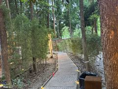 -二荆条·蜀鲜汇城市森林火锅