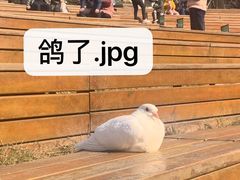 -CPS Fitness Studio健身工作室