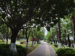 -五缘湾湿地公园