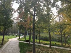 -大连植物园