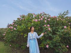 -祝甸砖窑文化馆