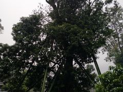-国恩寺