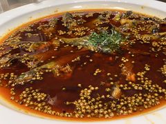 -悦百味·品质川菜(橄榄郡店)