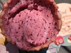 -野人先生现做冰淇淋(北京环宇荟店)