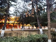 -金城公园