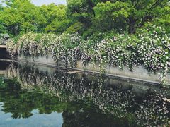 -尚贤河湿地