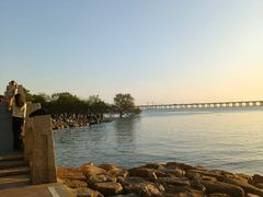 -宝安西湾红树林湿地公园