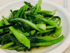 -新发记港式茶餐厅(黄浦店)