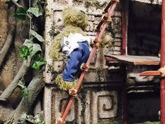 -济州岛泰迪熊博物馆