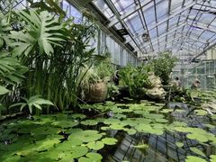 -国家植物园南园