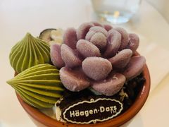 -哈根达斯(龙湖时代天街店)