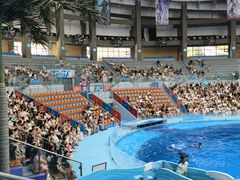 -海合安成都极地海洋公园
